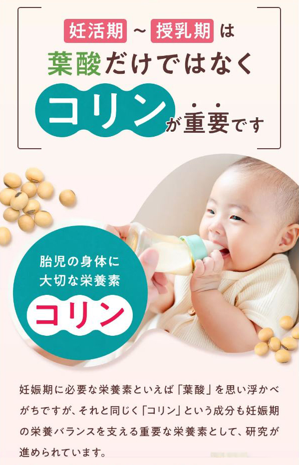 妊活期~授乳期は葉酸だけではなくコリンが重要です